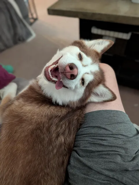 Stormy has reached a state of nirvana