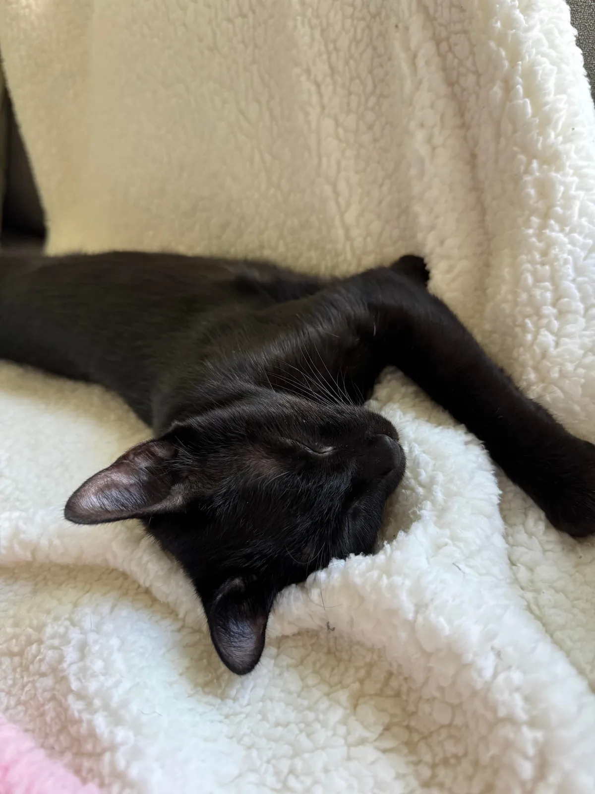 It’s my adopted baby’s first (estimated) birthday!