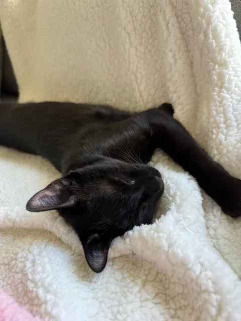 It’s my adopted baby’s first (estimated) birthday!