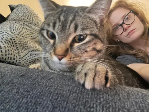 Noelle would like the children of my apartment complex to stop screaming. 👿🧘‍♀️