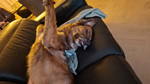 My girl Mandy (Mlemdy)