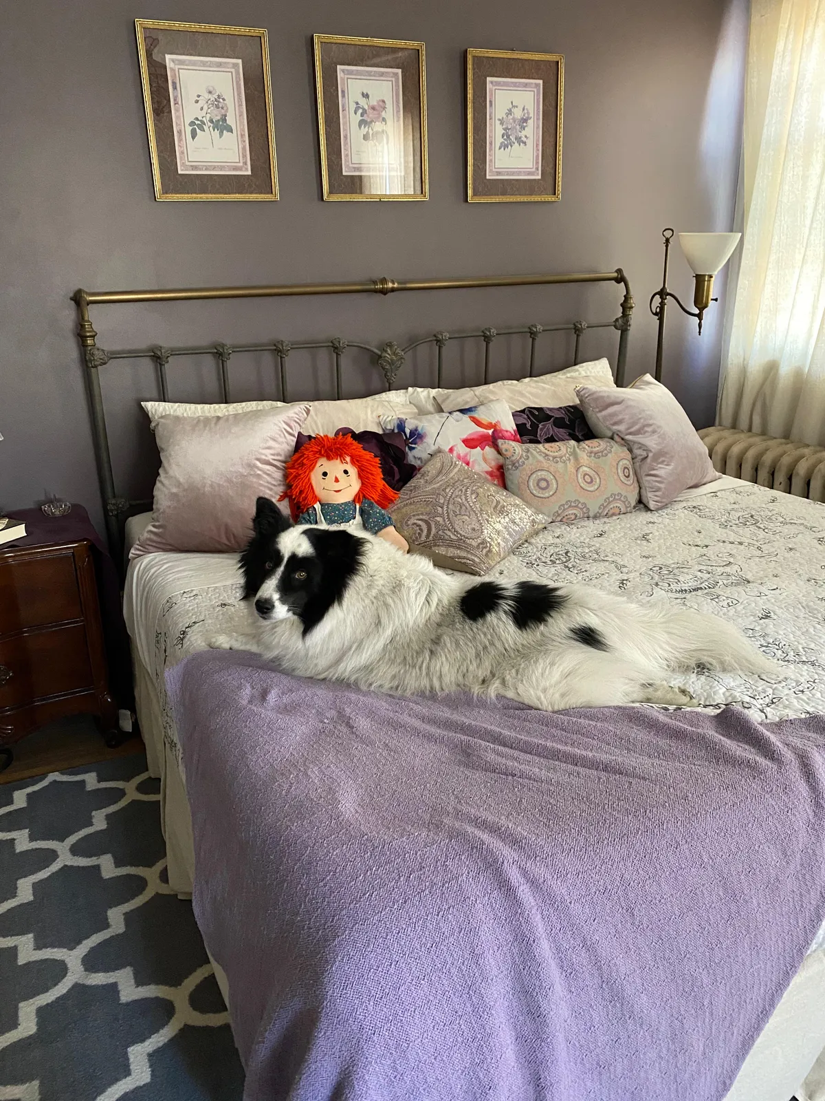Guest bedroom that my dog loves
