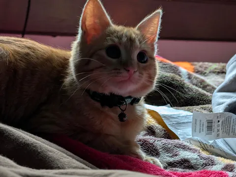 8 days ago he was feral...