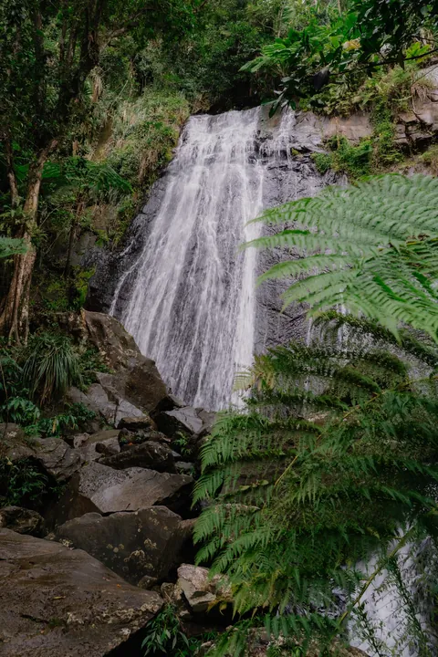 Puerto Rico Highlights from Our Family Trip 🇵🇷
