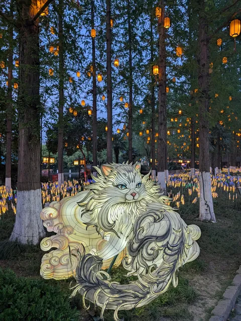 I randomly found Nanjing’s Qinhuai Lantern Festival, and it was breathtakingly beautiful