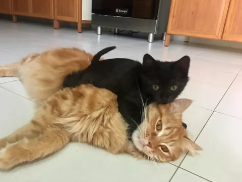 7 years with my Middle Eastern girl