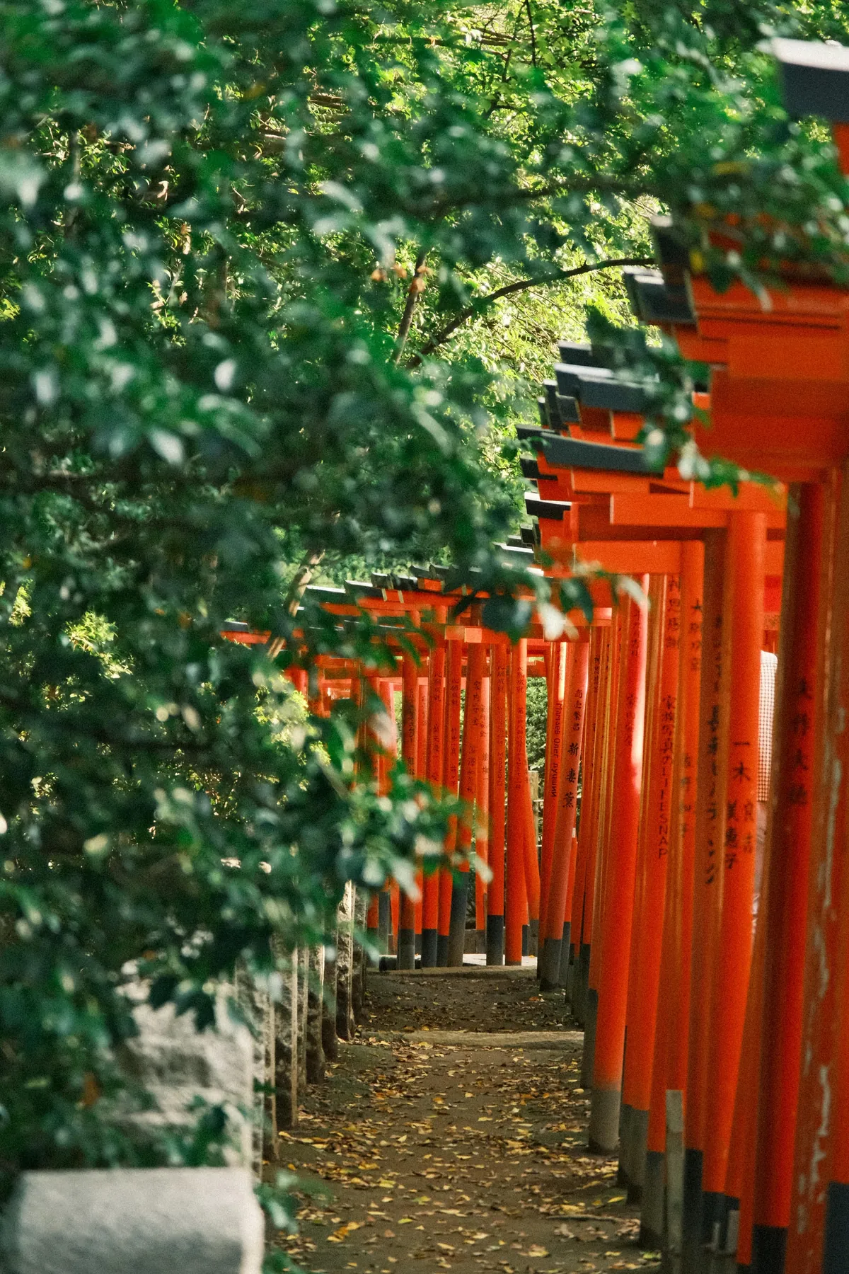 Our First 4 Days in Tokyo 🇯🇵