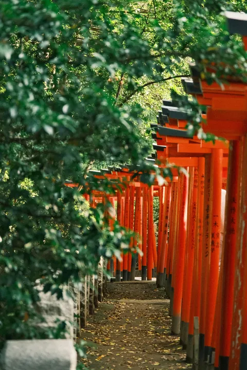 Our First 4 Days in Tokyo 🇯🇵