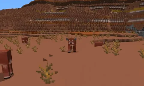 2 new cow variants have been revealed as well as firefly bushes.