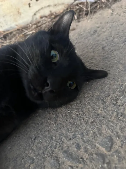 I think I really fucked up :(