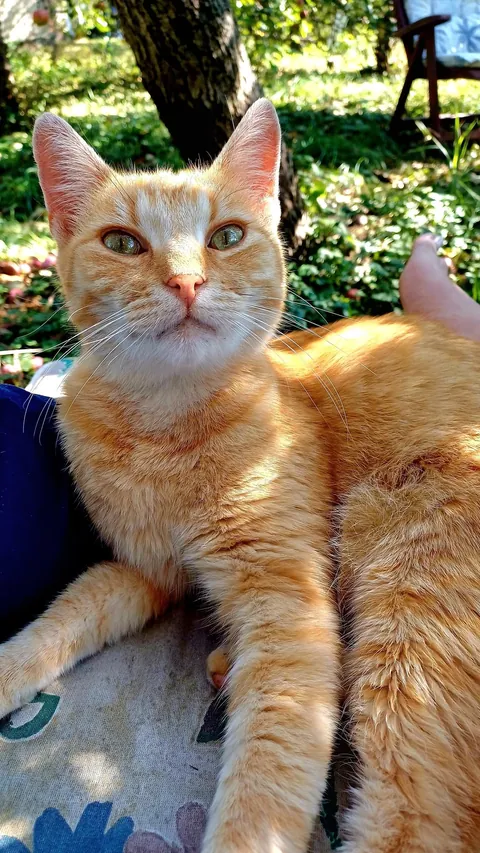 I just love these photos of my sweet boy.