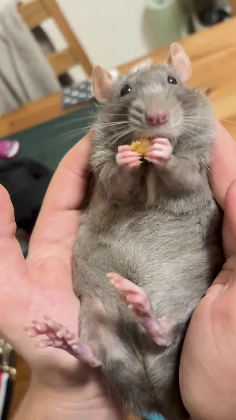 Sharing my snack 🍠