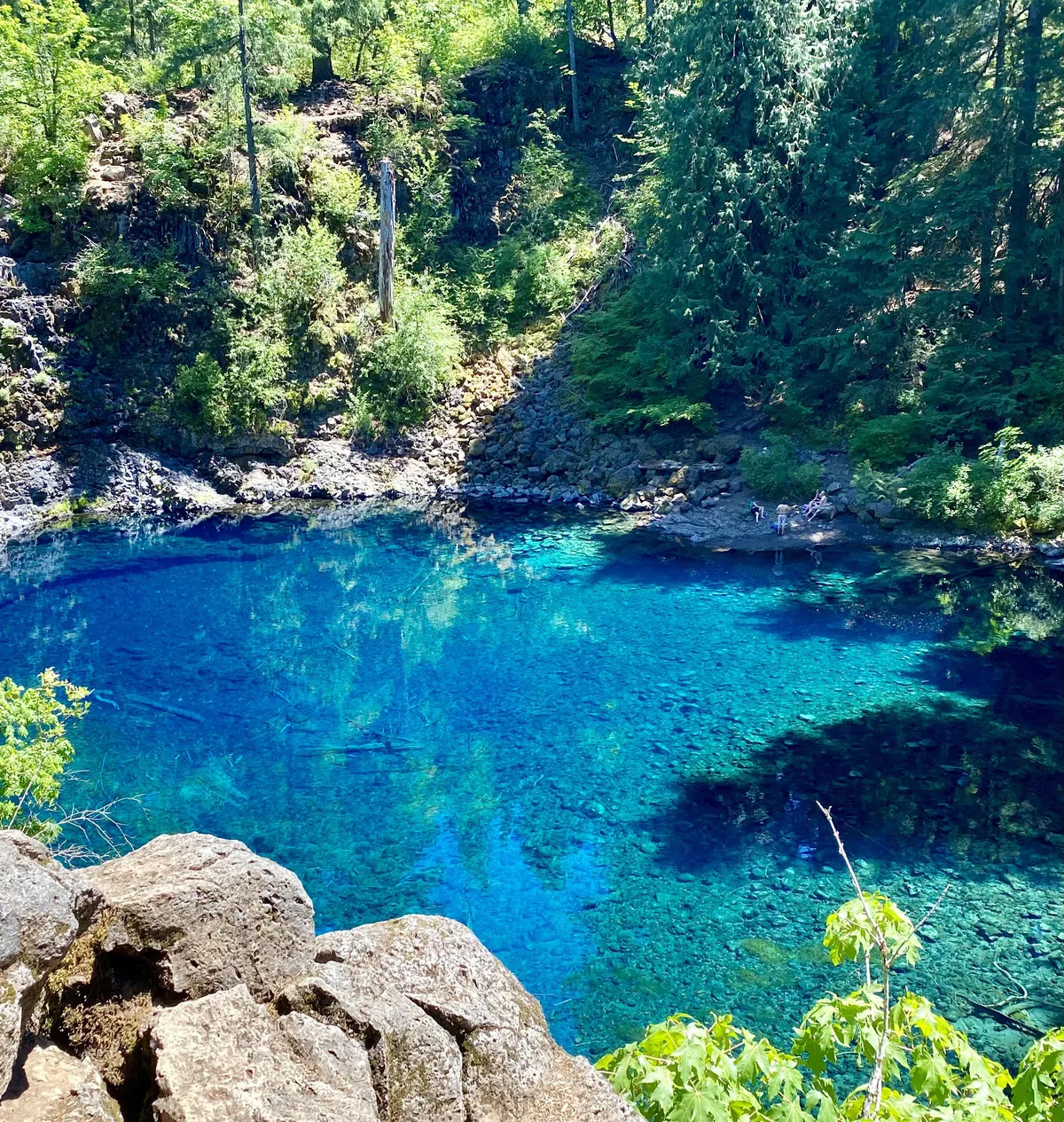 🔥Tamolitch Blue Pool in Oregon