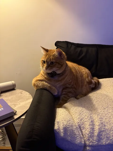 Caught her straight chillin