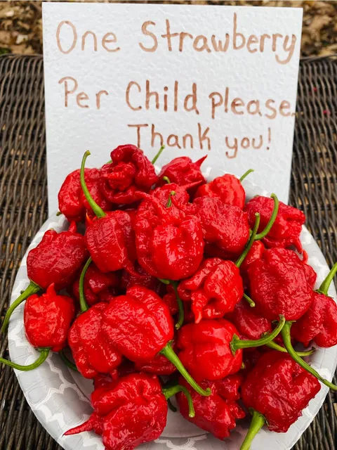 One Strawberry Per Child Please
