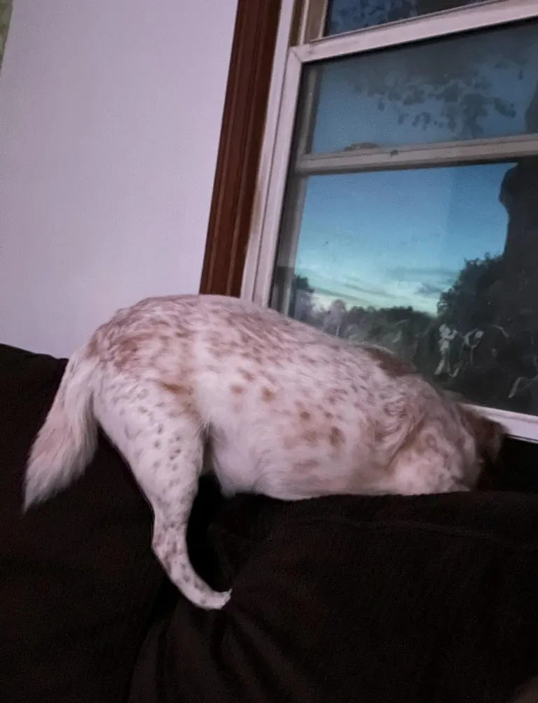 More pictures of Chief being unapologetically himself