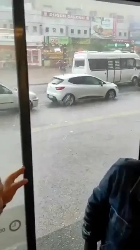 Bird Seeks Refuge from Hailstorm in Shop