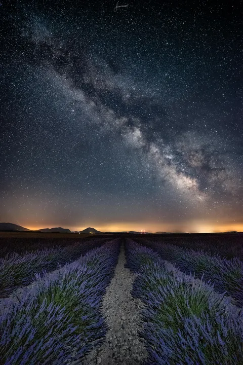 ITAP of a lavender field at night