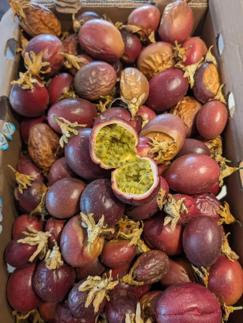 My passion fruit haul today!