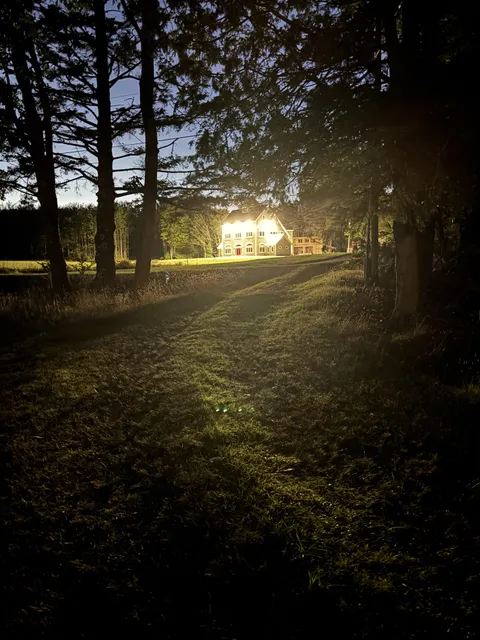 New neighbors next door