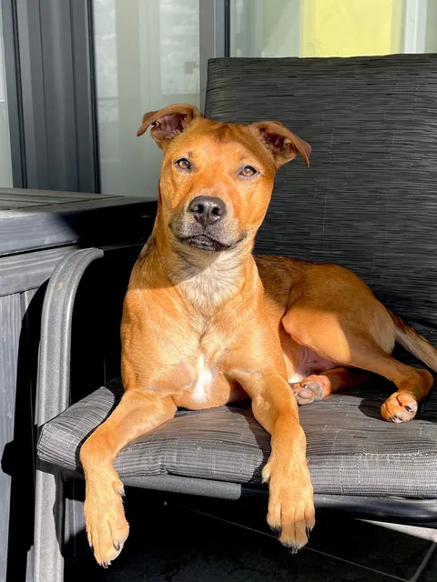 Hector through the years. Which is your favourite photo