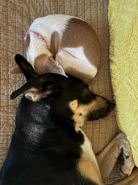 I love my big sister, don’t you?