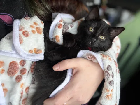 What would you name her?