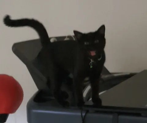 Lost Without My Pixie