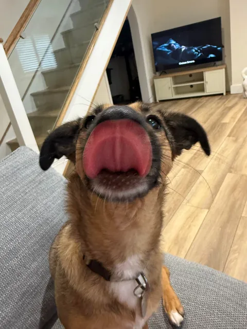 Valid reaction to pizza