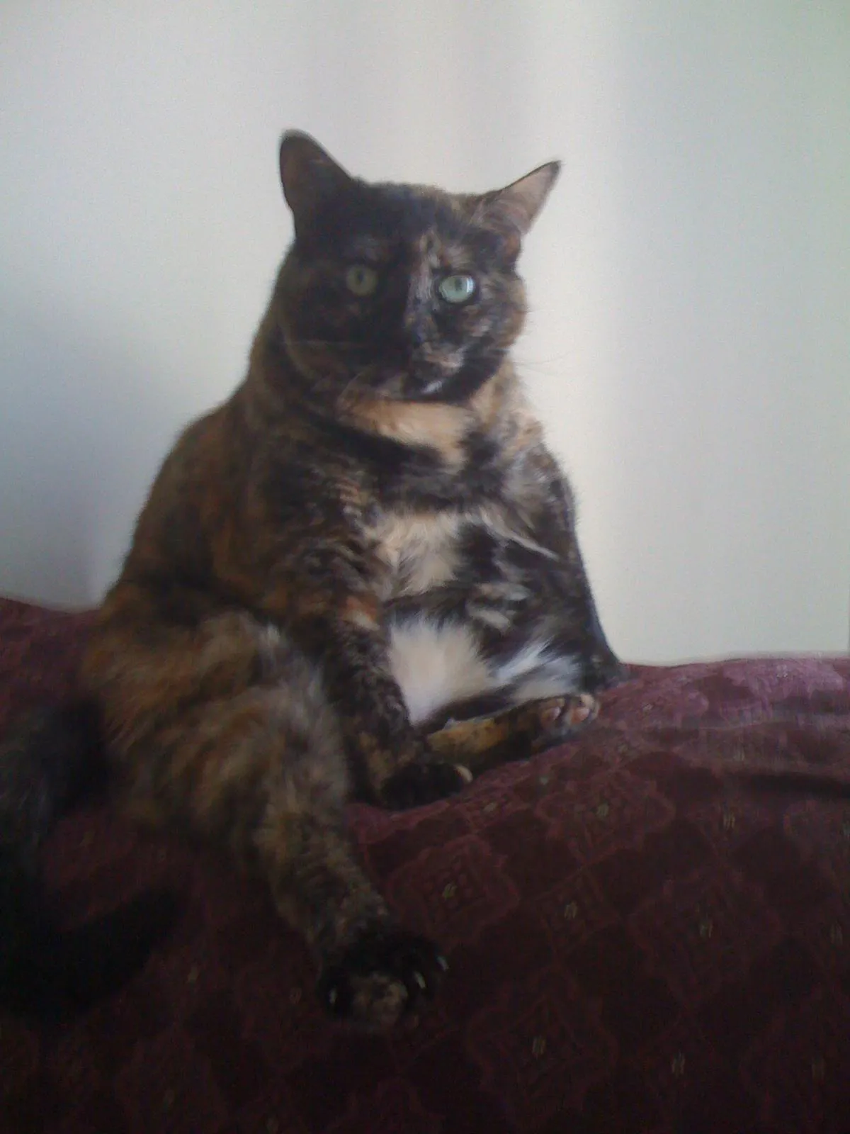 Goodbye, my best little friend, I hope we meet again.