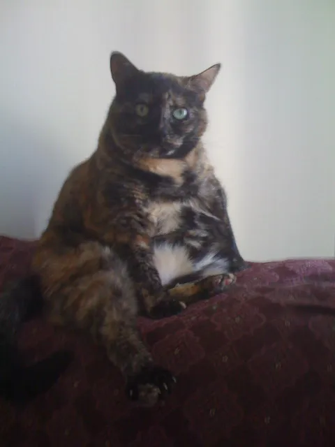 Goodbye, my best little friend, I hope we meet again.