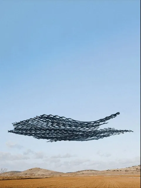 This spanish photographer(Xavi Bou) has traced the flight path of birds by compositing thousands of frames.