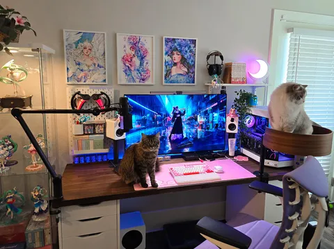 Just added the Desk Nest cat bed to my setup 😺