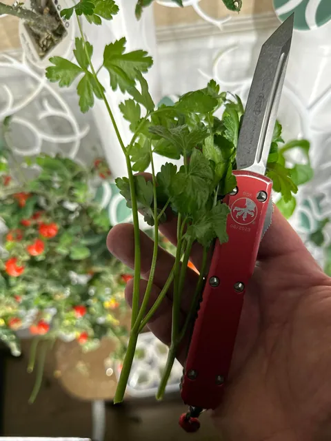 [homemade] steak sandwich