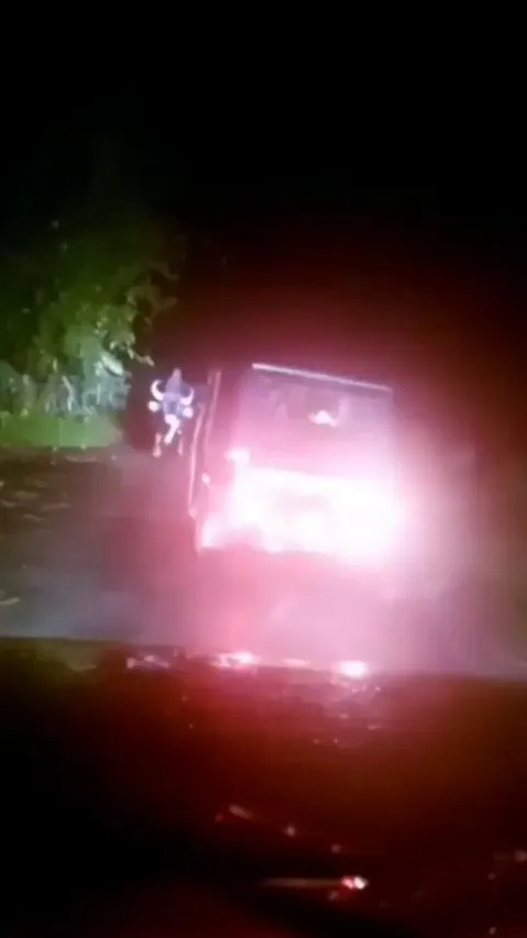 Gaur smashing tuk tuk (India)