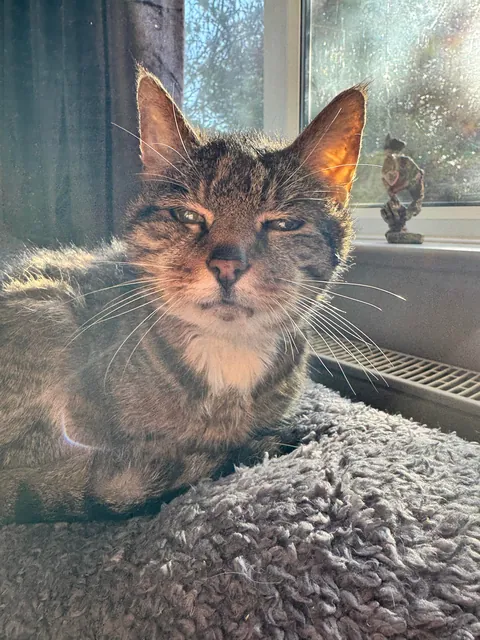 Had to send my 23 year old girl to sleep:(