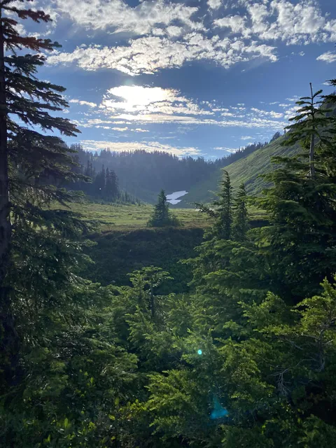Cascades, WA [OC] [3024x4032]