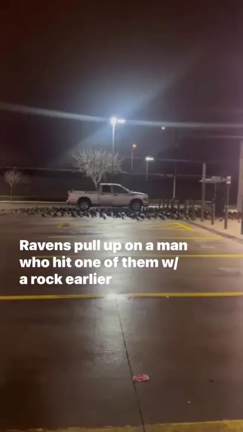 Come on out we won't even touch you