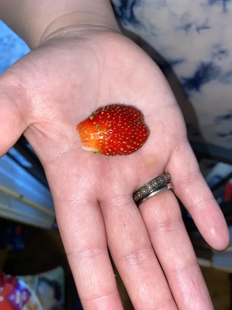 I  have no one to tell