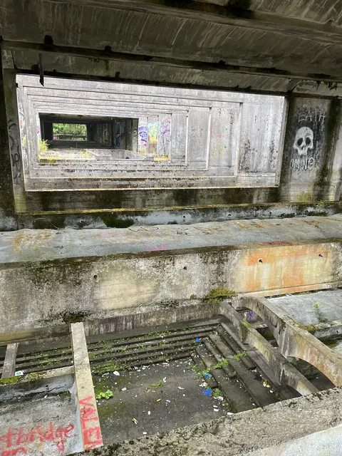 Optical illusion-ish. In abandoned seminary