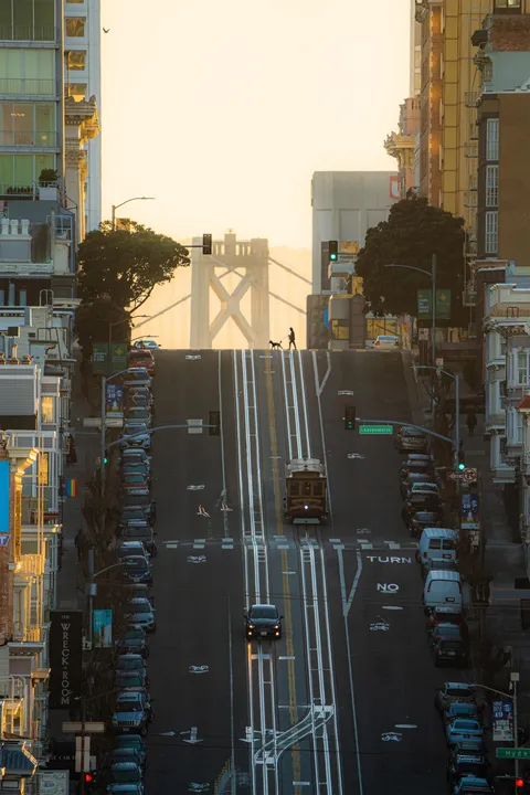 ITAP of a Poodle in San Francisco
