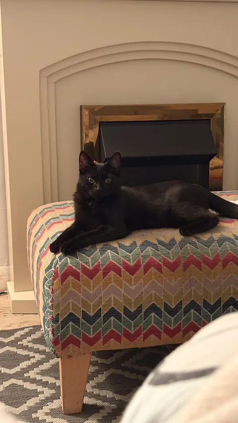 Welcome to the family boo