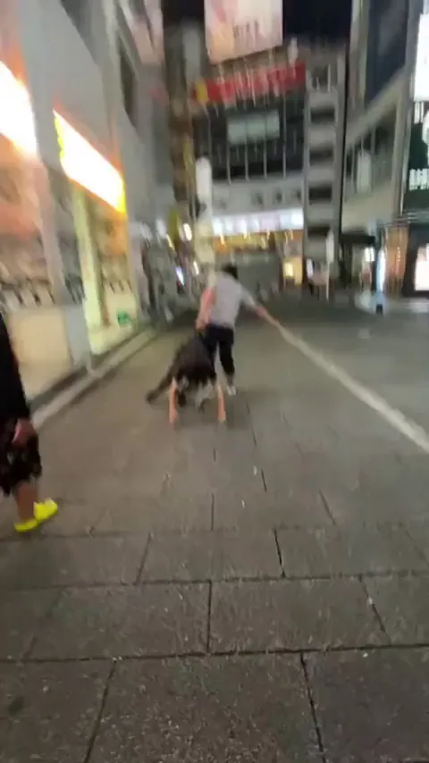 A man got dragged to police station in Kabukichō, Tokyo