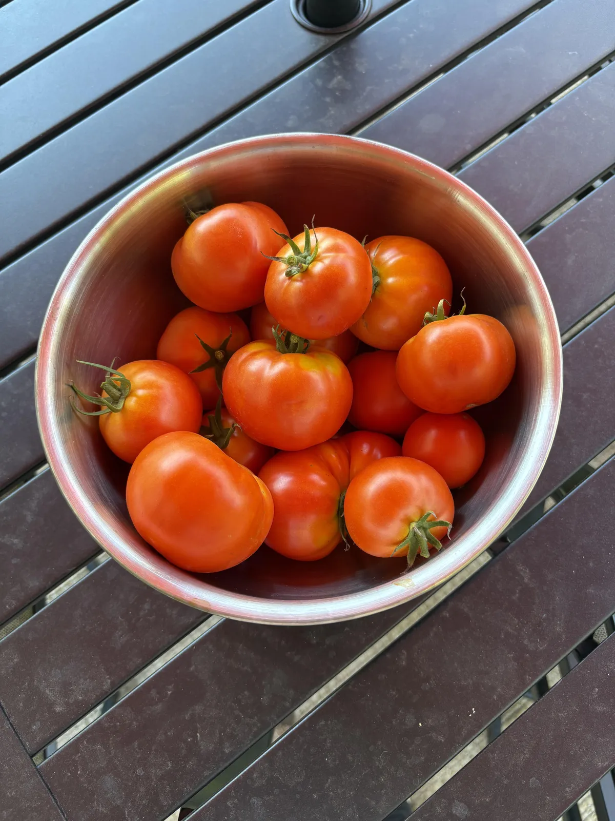 First time gardener! 🍅👩‍🌾