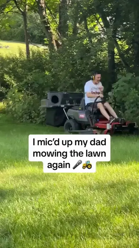 The lawnmower Man