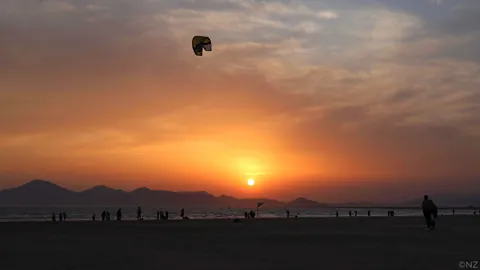 Sakura Busan April'25: A dream with cherry blossoms