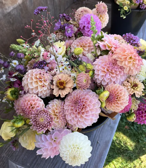 The dahlias are getting tired, and I think this may be my last good harvest.