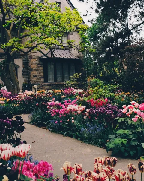 Most beautiful garden in my neighbourhood