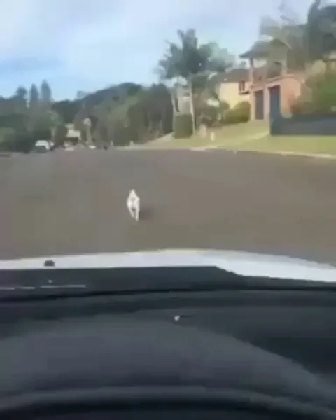 What .. you have a problem?