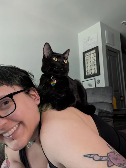 shoulder cat update: I have officially become a sentient couch